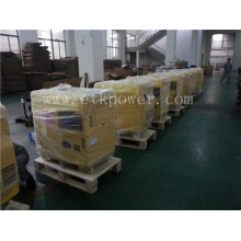 Strong Carton Packing Diesel Generator Set (6KW)